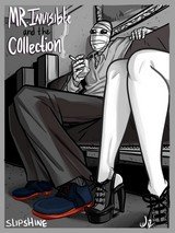 Mr Invisible And The Collection